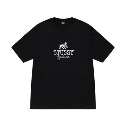 Stussy Sportswear Noir T Shirt
